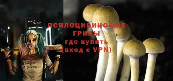 apvp Алексеевка