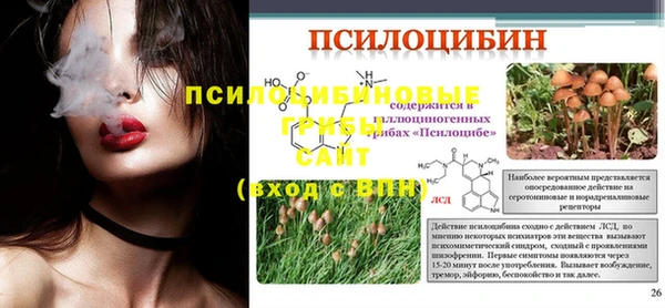 стаф Семилуки