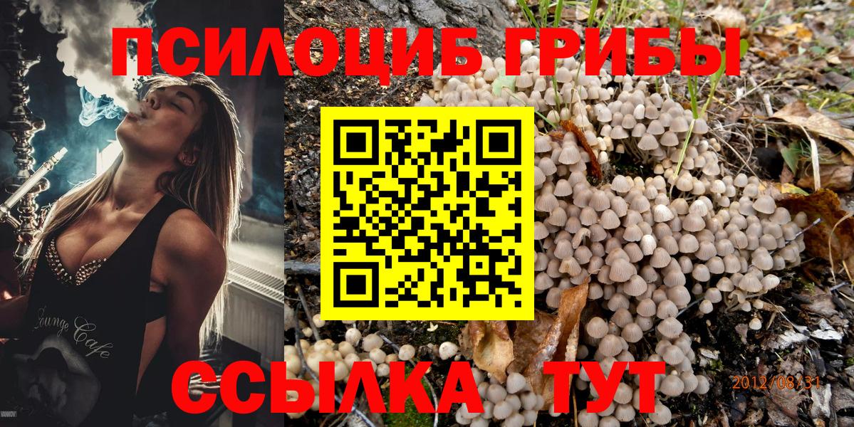 Псилоцибиновые грибы Cubensis Воткинск