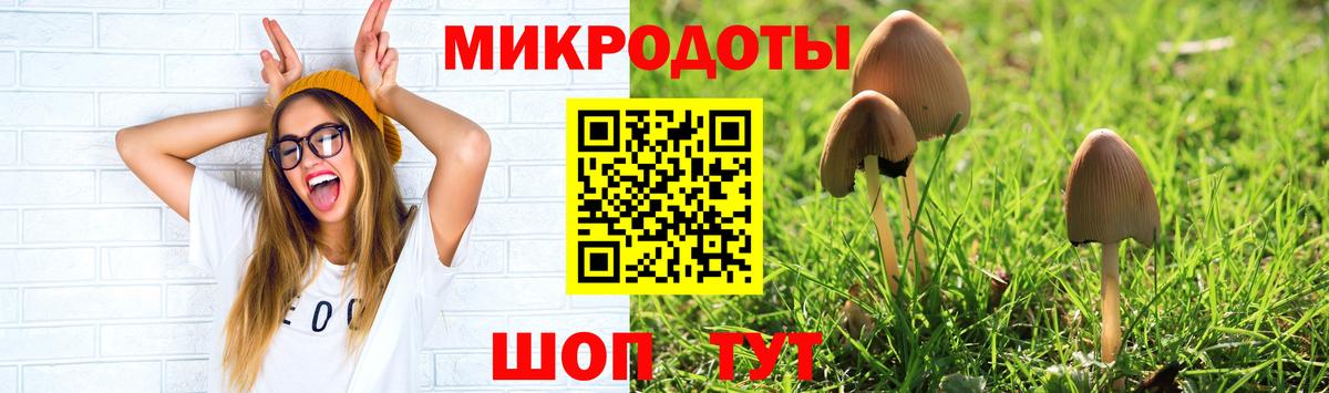 Воткинск  Галлюциногенные грибы ЛСД  Вход с VPN 
